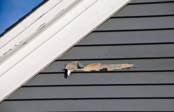 How To Choose The Right Materials for Your Siding Installation in 'Friars Point, MS