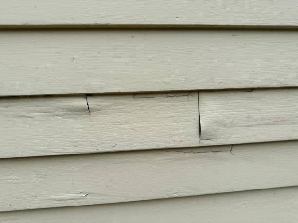 Best Custom Trim and Detailing for Siding  in Friars Point, MS